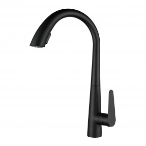 Manufactur standard Modern Style Dual Function Pull out Shower Sprayer Kitchen Tap Black Ss Sink Faucet