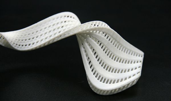 Nylon 3D Printing Sample