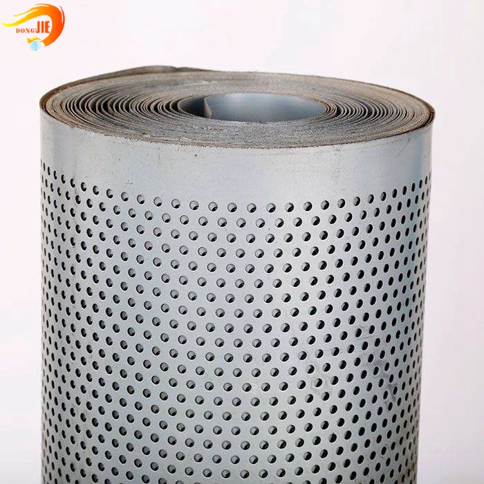 New Arrival China Oil Filter Mesh - Customized Perforated Metal Filter Screen Strainer Mesh  – Dongjie