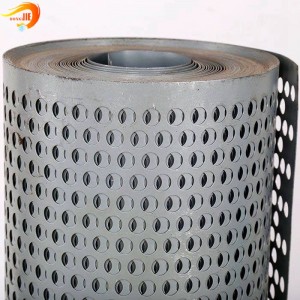 Stainless chalybe Perforated Metal Filter Mesh