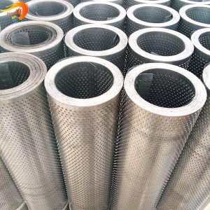 STAINLESS Steel perforéierte Metal Blat Roll fir Fassad