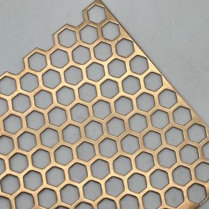 ʻO ka hoʻolālā ʻana o ka pā pale galvanized steel hexagonal hole perforated mesh mesh