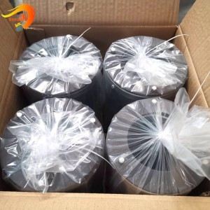Professional China Wood Based Coconut Activated Carbon 12-40 Mesh Water Treatment Filter