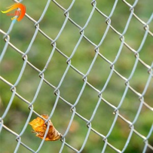 Animal Fence Customized PVC Dip Plastic Chain Link Fence