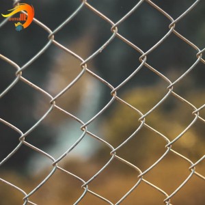 Animal Fence Customized PVC Dip Plastic Chain Link Fence