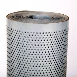 Customized Perforated Metal Filter Screen Strainer Mesh