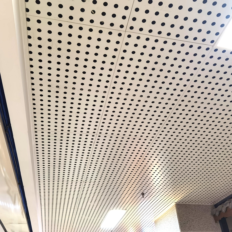 Orificio redondo cuadrado/decorativo panel perforado de aluminio