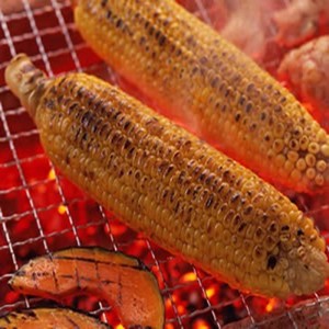 Round bbq accessories support custom BBQ stainless steel grill mesh