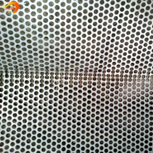 Hot Sale Stainless Steel Perforated Metal Mesh with 0.5mm Thickness