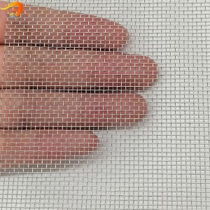 2019 Good Quality Fine Mesh Window Screen - Stainless Steel Galvanized Iron Window Screen for Protecting Mesh – Dongjie