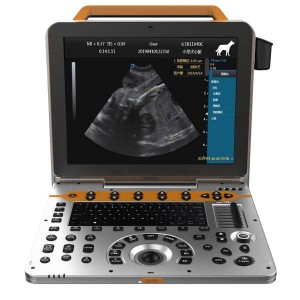 Sistema ultrasónico de imágenes con reducción de manchas de imágenes Doppler espectral P50-VET