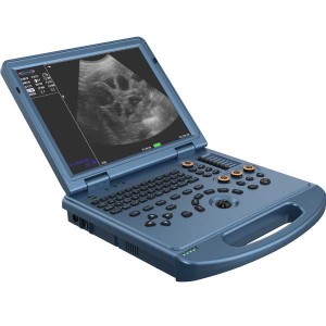 Portable Pet Canine Feline Ovine Color Doppler Veterinary Ultrasound System