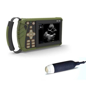ขายร้อน S0 มือถือ Veterinary Ultrasound Diagnostic Machine