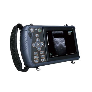 Appareil à ultrasons vétérinaire portable professionnel entièrement numérique pour bovins, chevaux, chiens, chats, moutons et porcs