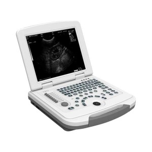 Laptop-Veterinär-Ultraschallscanner