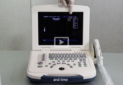 Tragbarer Tierarzt-Ultraschall MU10