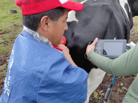 Desenvolvimento de tecnologia de máquina de ultrassom para bovinos na China