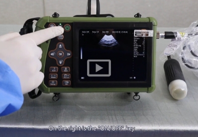 Escáner de ultrasonido para embarazo de ovejas porcinas S0