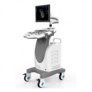 Carrello con piattaforma PC Sistema diagnostico ad ultrasuoni veterinario digitale completo