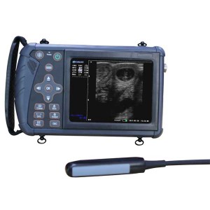 Macchina ad ultrasuoni veterinaria completamente digitale portatile professionale per bovini, cavalli, cani, gatti, pecore, maiali