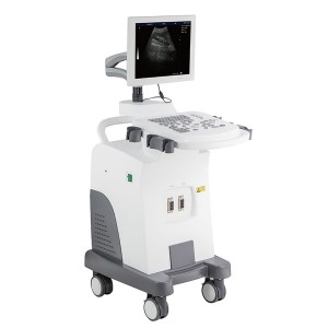 Middle Level Trolley Full Digital Veterinary Ultrasonic System