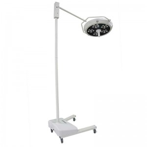 Veterinary Surgical Lights for Animal Health Facilities