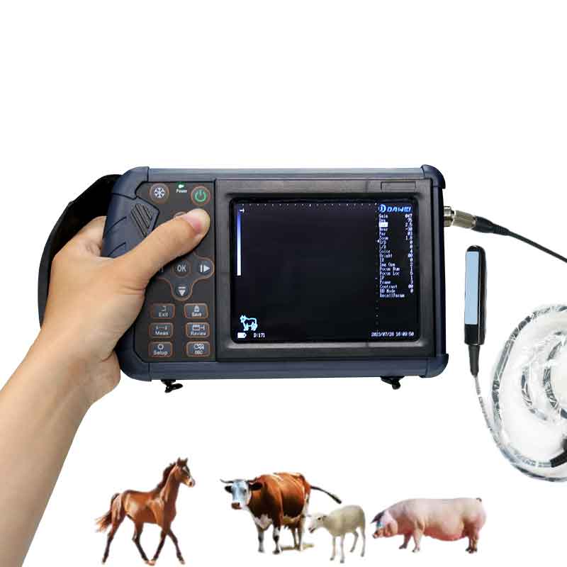 Medidor de embarazo por ultrasonido para caballos para pruebas fetales y detección de embarazo