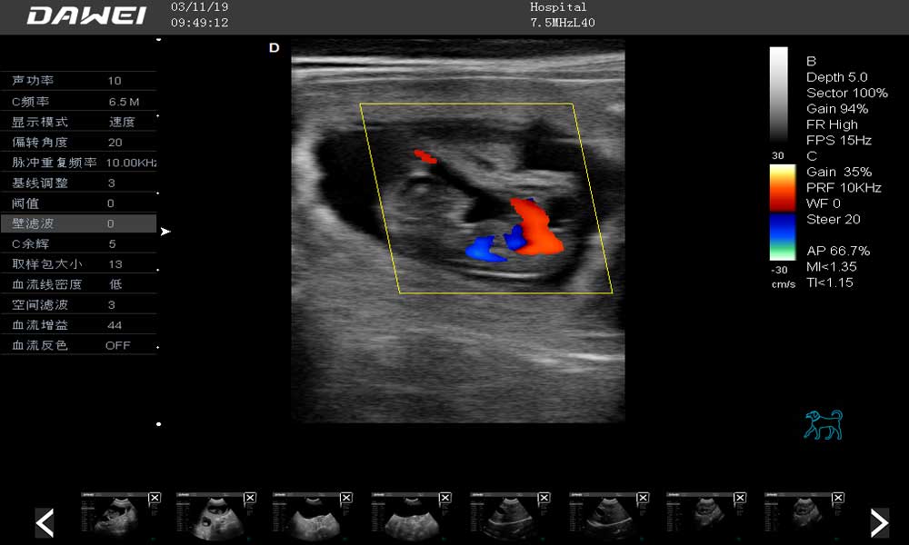 What is Color Doppler Ultrasound in Animals?