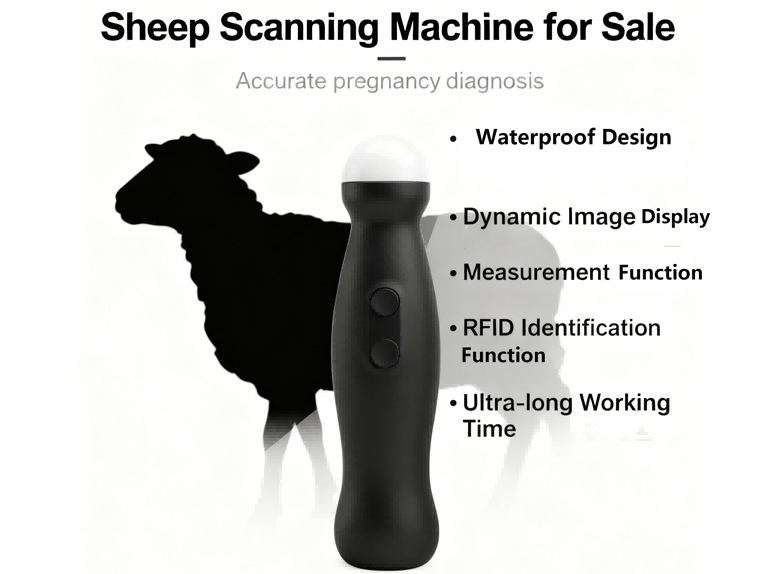 Sheep Scanning Machine for Sale