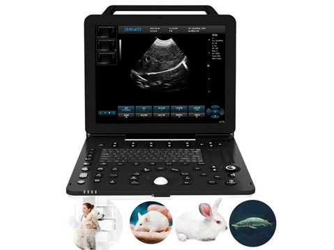 Benefits of a portable veterinary ultrasound system