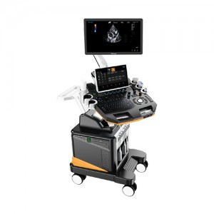 High-End Trolley Veterinary Ultrasound Scanner