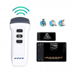 Handheld Veterinary Wireless Ultrasound Probe System For Small Animals