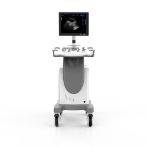 High Elements Pc Platform Trolley Full Digital Veterinary Ultrasound Diagnostic System