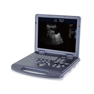 Sistema diagnóstico do ultrassom preto e branco veterinário completo de Digitas da plataforma do PC