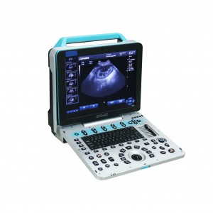 Veterinary Ultrasound System P5-VET