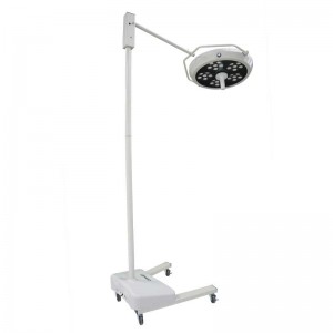 Veterinary Surgical Lights for Animal Health Facilities
