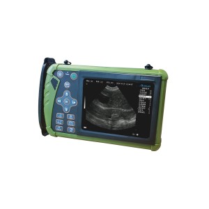 Meilleure machine de diagnostic par ultrasons vétérinaire portable et de surveillance de la grossesse pour les porcs, les moutons et les chiens.
