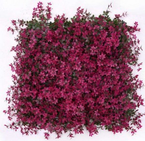 Bunga Buatan Rumput Boxwood 50*50Cm Pagar Halaman Belakang Taman Tanaman Hijau Dekorasi Dinding Panel Latar Belakang Tanaman Pagar Topiary