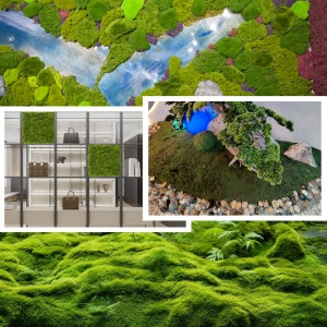 Großhandel gefälschte Moos Wandkunst Sphagnum Pflanze Konserviertes künstliches Moos Wandpaneel grünes Moos für die tägliche Dekoration zu Hause