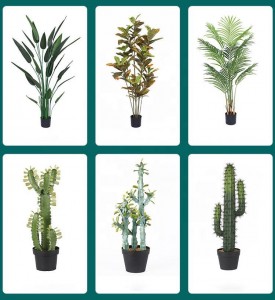 6.7” Ubude obubunjiweyo obubunjiweyo be-Succulents yeBonsai Faux Cactus Aloe Premium Synthetic Succulents Isityalo esinembiza