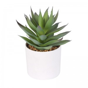 Succulents fuadain inneach 6.7” aig àirde potted Bonsai Faux Cactus Aloe Premium Synthetic Succulents Plant Le Pot