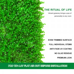 홈 배경 장식 시뮬레이션 밀라노 잔디 야외 꽃 식물 잔디 벽