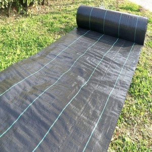 prevenzione dell'erba Tappetino per erbacce in tessuto PP nero e verde