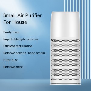 Small Air Purifier For House