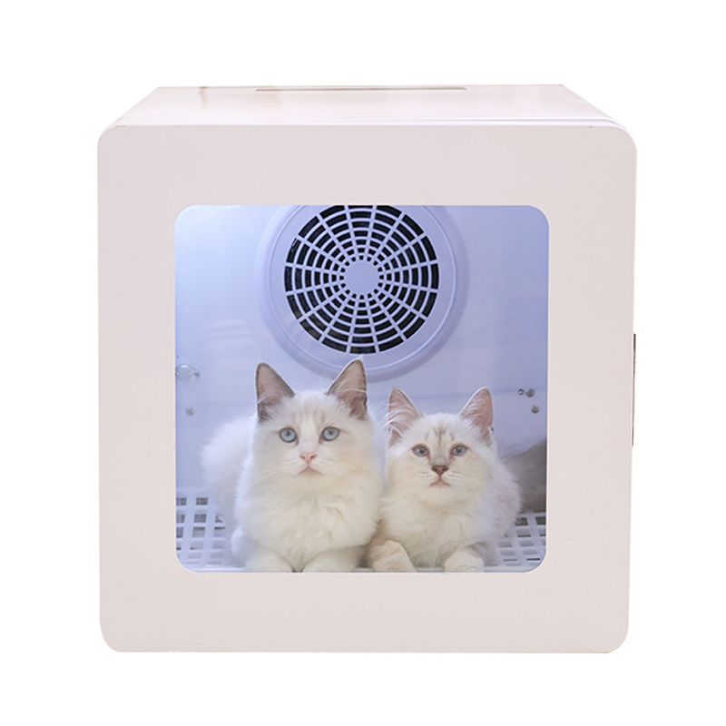 China wholesale Dehumidifier Air Purifier Factory –  110V And 220V New Pet Dryer – Dingyao