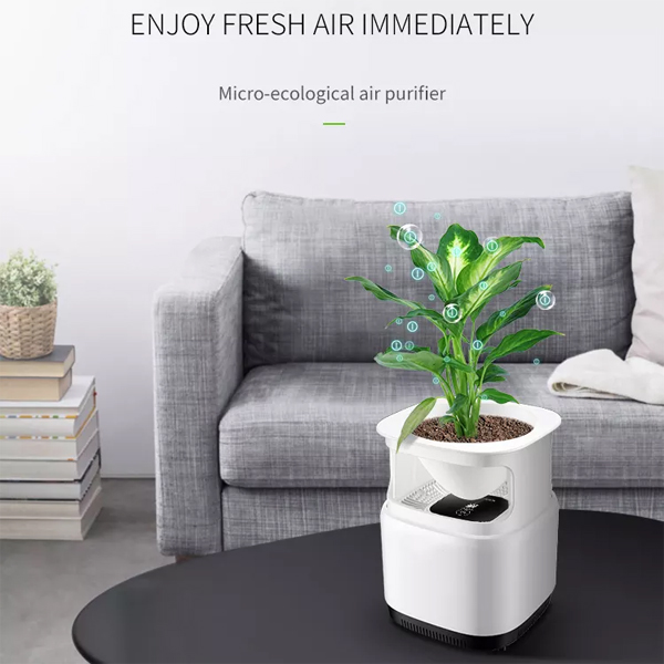 China wholesale Cool Mist Humidifier Suppliers –  Household micro-ecological Air Purifier For Dust – Dingyao