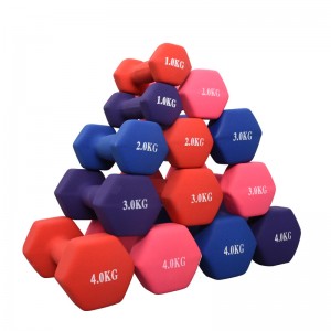 China Wholesale Hex Dumbbells 30kg Suppliers - home office exercise accessoires 3 tier dumbbells weights handle stand small plastic holder dumbbell – Hongyu