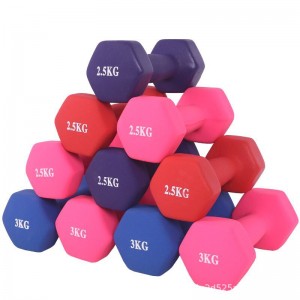 China Wholesale Hex Dumbbell Color Suppliers - Customized polychrome chloroprene rubber impregnated hexagonal dumbbell gym  Hex dumbbells for ladies – Hongyu