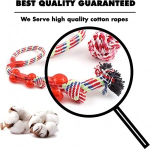 Custom 10 Pack Durable Cotton Dog Toy Pack Interactive Squeaky Dog Toy Pet Chew Toy