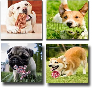 Pacote de brinquedos para cães de algodão durável personalizado com 10 pacotes interativos e estridentes para cães, brinquedos para mastigar para animais de estimação